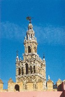 La Giralda vue depuis l'Alcazar.